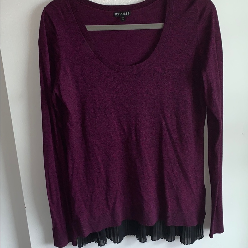 Express Sweater With Sheer Pleated Back